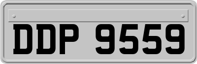 DDP9559