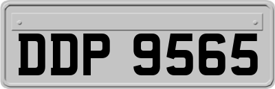 DDP9565
