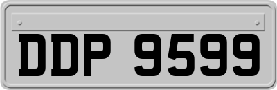 DDP9599