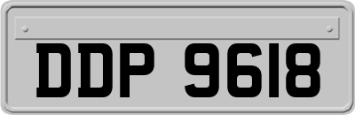 DDP9618
