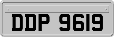 DDP9619
