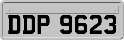 DDP9623