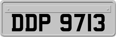 DDP9713