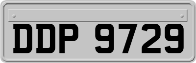 DDP9729