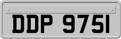 DDP9751