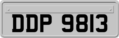 DDP9813