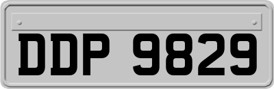 DDP9829