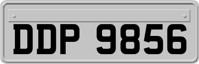 DDP9856