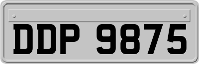 DDP9875