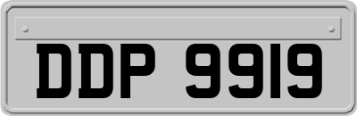 DDP9919