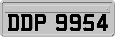 DDP9954