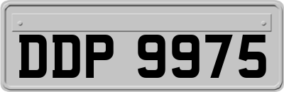 DDP9975