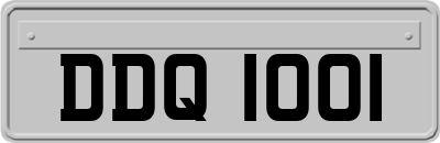 DDQ1001
