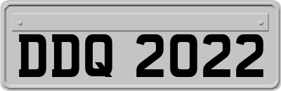 DDQ2022