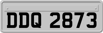 DDQ2873