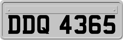 DDQ4365
