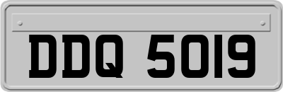 DDQ5019