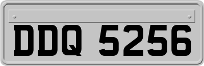 DDQ5256