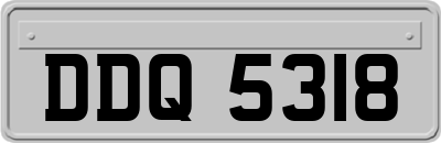 DDQ5318