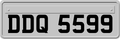DDQ5599