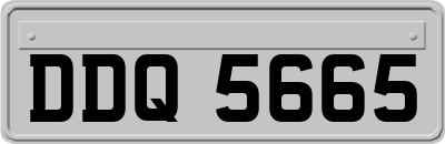 DDQ5665