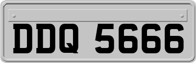 DDQ5666