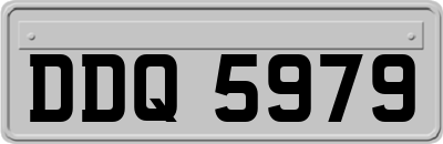 DDQ5979