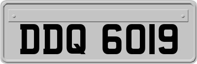 DDQ6019
