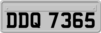 DDQ7365