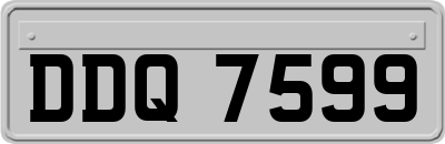 DDQ7599