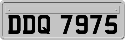 DDQ7975