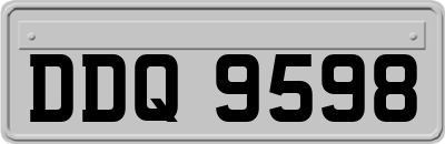 DDQ9598