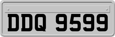 DDQ9599