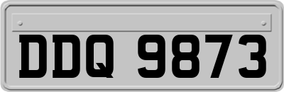 DDQ9873