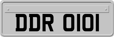 DDR0101