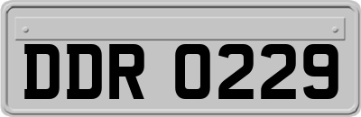 DDR0229