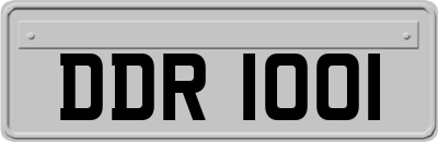 DDR1001