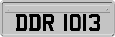 DDR1013