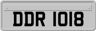 DDR1018