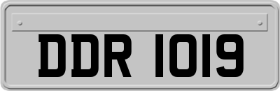 DDR1019