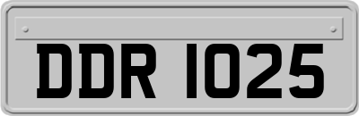 DDR1025