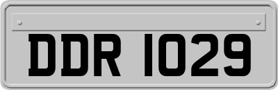 DDR1029