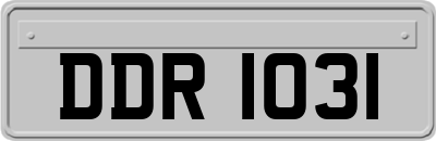 DDR1031