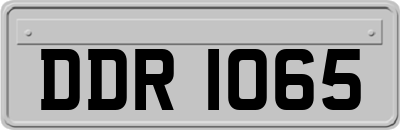DDR1065