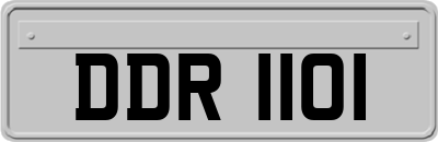 DDR1101