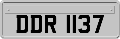DDR1137