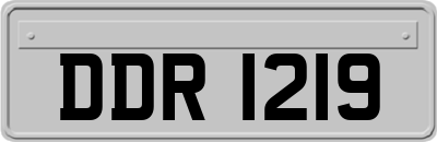 DDR1219