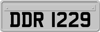 DDR1229