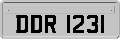 DDR1231