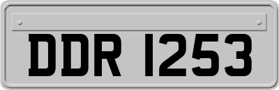 DDR1253